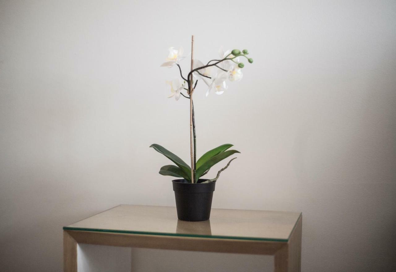 Elegant Retreat Business District Bernabeu Appartement Madrid Buitenkant foto